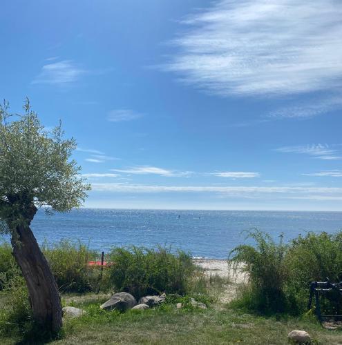 Strandnära fritidshus i Abbekås